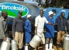 Thumbnail for Ivory Coast suspends cocoa sales as bad weather and diseases threaten production