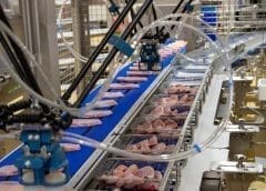 Thumbnail for UK’s Plant-based Food Alliance calls for dismissal of draft guideline for plant-based dairy alternatives