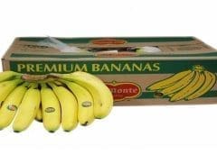 Thumbnail for South African Pork Producers’ Organization appoints Dr. Peter Evans as CEO