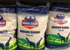 Thumbnail for Private investor inject US$4.8m into construction of new coconut processing plant in Mozambique