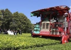 Thumbnail for Nairobi Bottlers Limited rebrands to Coca-Cola Beverages Kenya