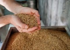 Thumbnail for Bega Group sells Vegemite Way facility, warns of high milk prices