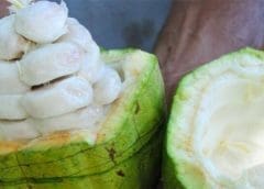 Thumbnail for Impressive Q2 results gives ABB CEO confidence of a good cash delivery year 