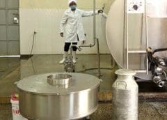 Thumbnail for Foodvalley devises to unlock healthier foods through potential innovations