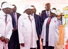 Thumbnail for Steakholder Foods, GCC signs deal to address food security