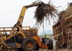 Thumbnail for IBL Group pursues 11% additional shares in US$41.7m Naivas deal