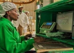 Thumbnail for Coffee auctions in Kenya remain suspended pending reforms in sales