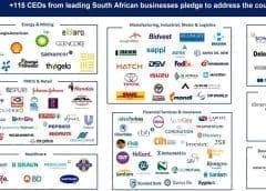 Thumbnail for Megmilk eyes ageing population market in China with launch of bone health ingredient