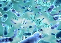 Thumbnail for Rainforest Alliance reinstates trade licenses of multinational tea processors James Finlays and Ekaterra Tea