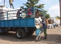 Thumbnail for Nextferm, Kothari Fermentation signs deal to produce its flagship product ProteVin in India