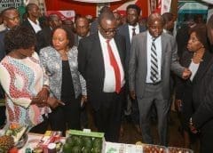 Thumbnail for Beneo appoints Niels E Hower as new member of board of directors