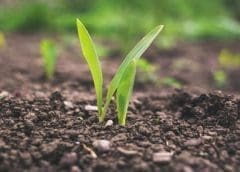 Thumbnail for European consumers embrace private labels amid rising living costs, study reveals