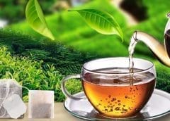 Thumbnail for Uganda accelerates coffee farmer registration to meet EU deforestation regulation compliance 