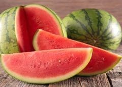 Thumbnail for USAID to invest US$159.5M in dairy, horticulture value chains