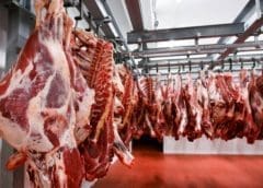 Thumbnail for KOA commissions Africa’s largest cocoa fruit factory in Ghana