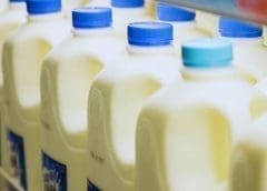 Thumbnail for Elo Life Systems begins development of natural alternative to sugar