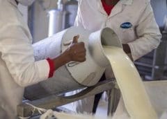 Thumbnail for Suntory to use renewable materials in making PET bottles on commercial scale