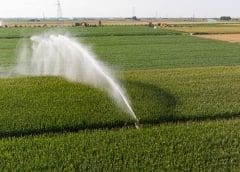 Thumbnail for FrieslandCampina Nigeria faces challenging year reports after weakening naira shot forex expense to US$24.4M