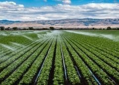 Thumbnail for Fonterra, DSM back animal-free dairy protein start-up Vivici in seed funding round