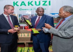 Thumbnail for  Alberta University scientists find high-protein, plant-based alternative to gelatin