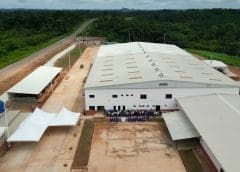 Thumbnail for Savanna Beef to initiate abattoir construction