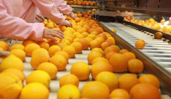 Thumbnail for British retailer Tesco’s net zero targets validated by Science Based Targets Initiative