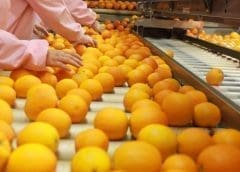 Thumbnail for Nairobi Coffee Exchange resumes operations under new guidelines aimed at boosting farmer incomes