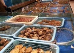 Thumbnail for KOA commissions Africa’s largest cocoa fruit factory in Ghana