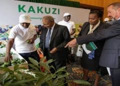 Thumbnail for Nestlé withdraws Nesquik from South African market owing to lower demand