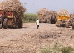 Thumbnail for Coca-Cola Beverages Uganda launches US$27 Million production line 