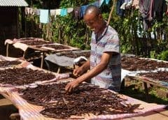 Thumbnail for Enough receives financial boost to scale up mycoprotein ingredient production