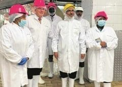 Thumbnail for Namibia takes pivotal step in regulating poultry, dairy industries