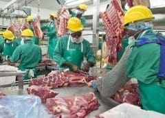 Thumbnail for Counterfeit liquor, fake KRA stickers seized in Kiambu