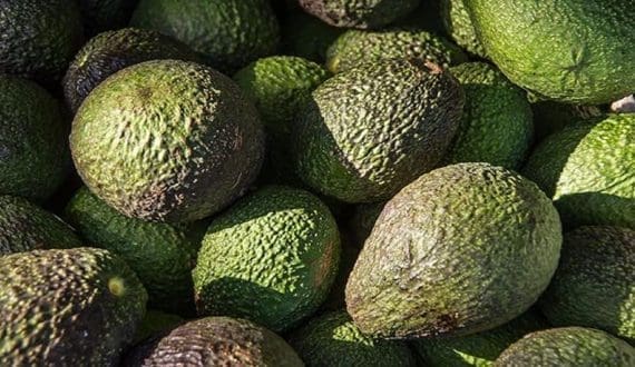 Thumbnail for The Wine Group promotes Mike Donich to COO in fresh round of executive appointments