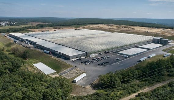 Thumbnail for EABL initiates massive layoffs, introduces a 26-week paid pregnancy loss leave