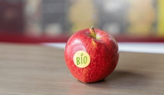 Thumbnail for Astral Foods expects to post a loss this year due to loadshedding and bird flu outbreak 