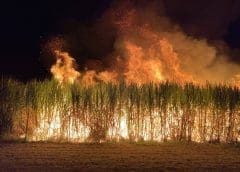 Thumbnail for Nespresso finally launches its paper-based compostable capsules in France and Switzerland