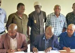 Thumbnail for Morocco overtakes South Africa as top blueberry exporter to UAE