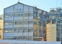 Thumbnail for Switch Energy unveils limited-edition Marula & Litchi Flavor in special Springbok-Themed can