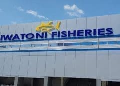 Thumbnail for Pick n Pay expands carbon emission reduction efforts with help from WWF SA