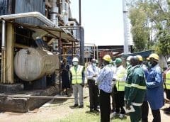 Thumbnail for Heineken Spain accelerates transition to green energy with investment in new mega solar thermal plant