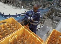 Thumbnail for Law enforcement agencies step up efforts to combat counterfeit alcohol in Kenya