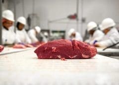 Thumbnail for Coca-Cola boosts dairy production in Mexico with US$133M investment