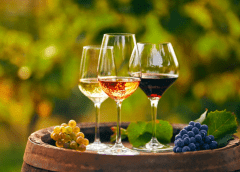 Thumbnail for Paradigm shift in avocado cultivation as Westfalia Fruit unleashes revolutionary project