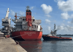 Thumbnail for UK introduces wine sector reforms to promote productivity, enhance innovation