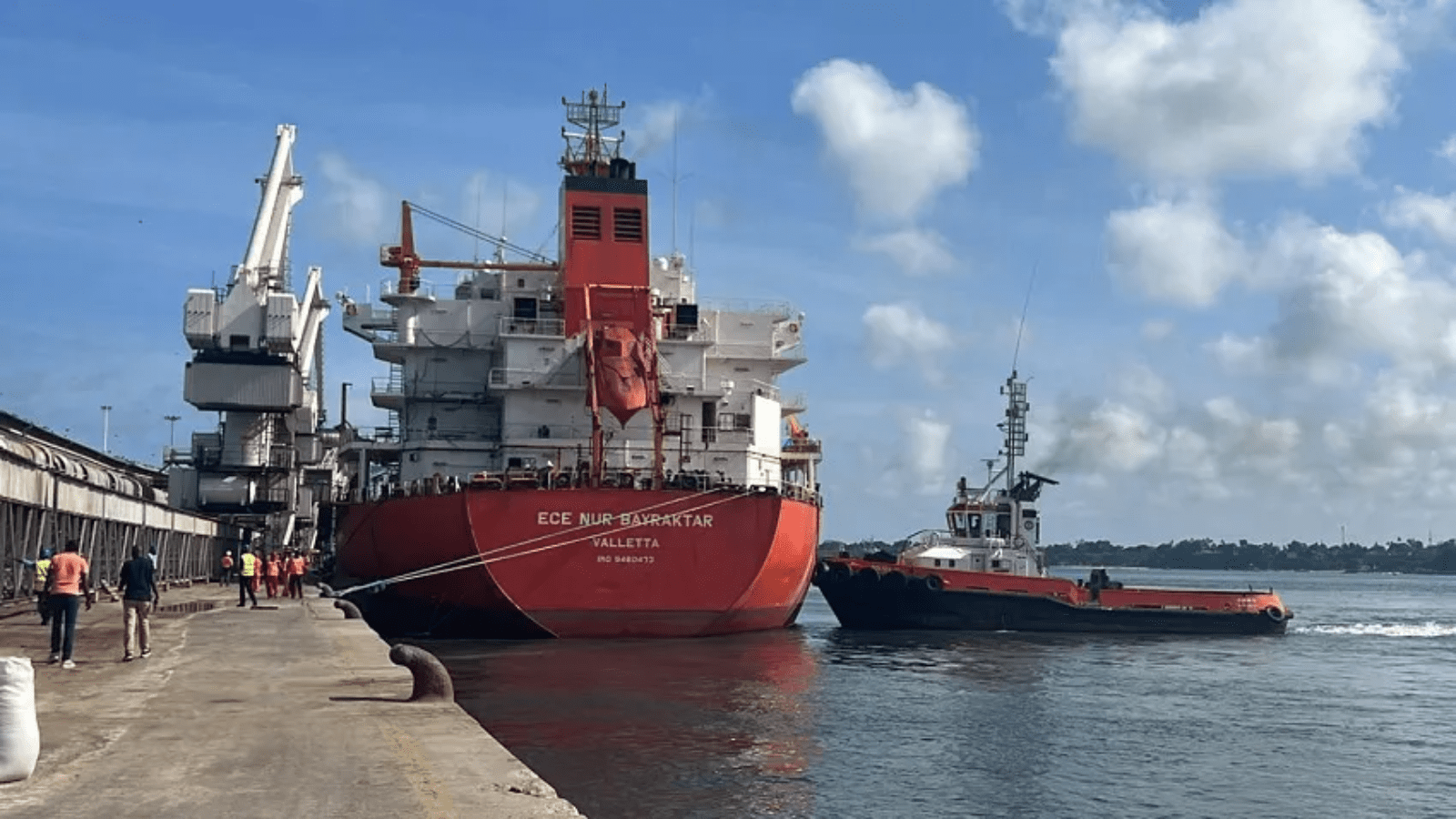 Thumbnail for First batch of fertilizers for tea farmers arrives at Kenya’s port of Mombasa