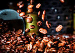 Thumbnail for Uganda’s earnings from coffee exports rise US$940M on back of higher international prices