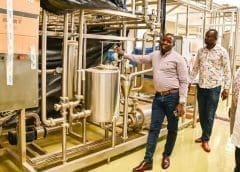 Thumbnail for Tyson recalls 30,000 pounds of Dino Chicken Nuggets due to metal contamination