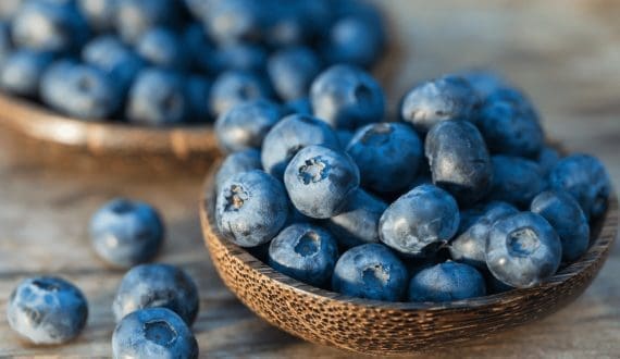 Thumbnail for Groot in Flowers LLC, Ronico announce partnership to boost US tulip market