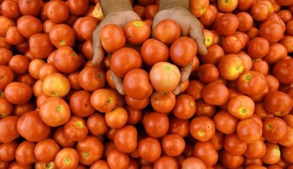 Thumbnail for Emirates completes full acquisition of world’s largest indoor vertical farm